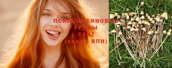 мет Алзамай