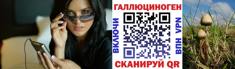 купить   Уварово  Галлюциногенные грибы Magic Shrooms 